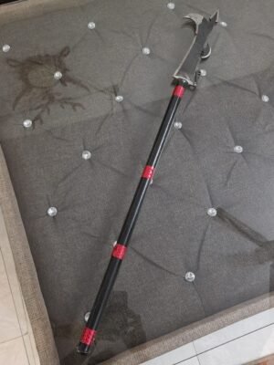 Indian Traditional Bhala 2